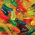 Albanese Confectionery Group GUMMI WORMS MINI 36OZ 53337
